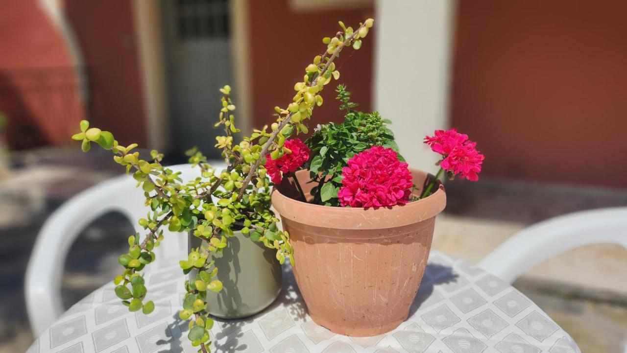 Aristea Studios Kato Korakiana Exteriér fotografie