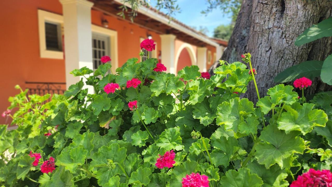 Aristea Studios Kato Korakiana Exteriér fotografie